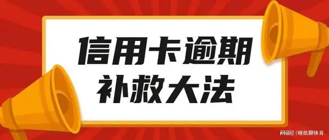 信用卡逾期了怎么办怎么申请停息挂账呢