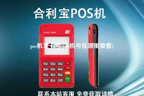 pos机发卡号(pos机号在哪里查看)